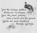 Marching thru GA how the turkeys gobbled phraseBW.jpg