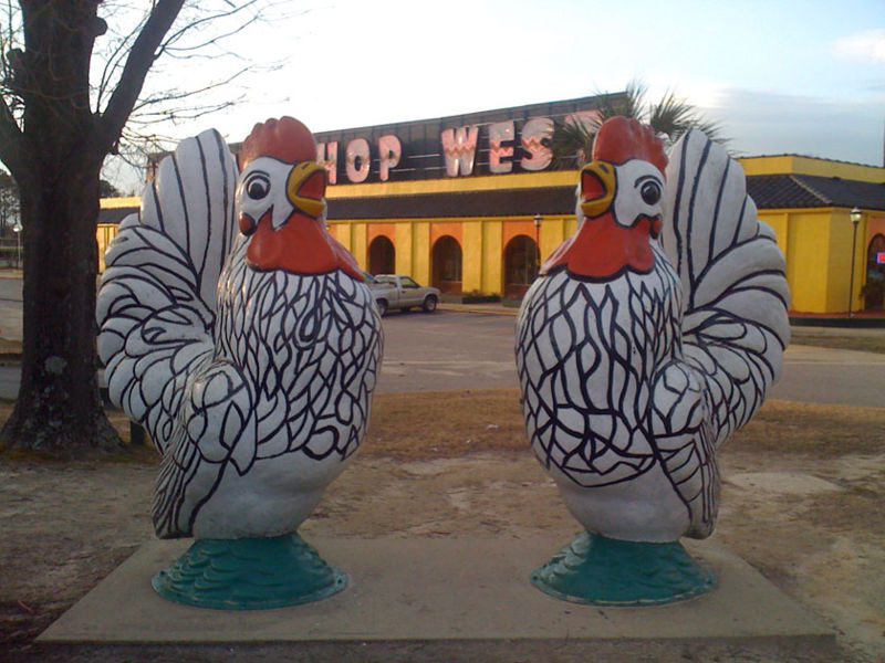 File:Sob chickens SM.jpg