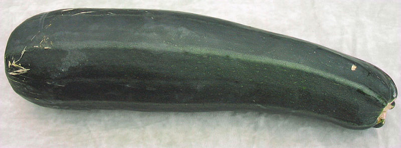 File:Giantzucchini08.jpg