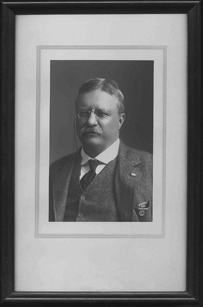 File:Theorooseveltportrait07.jpg