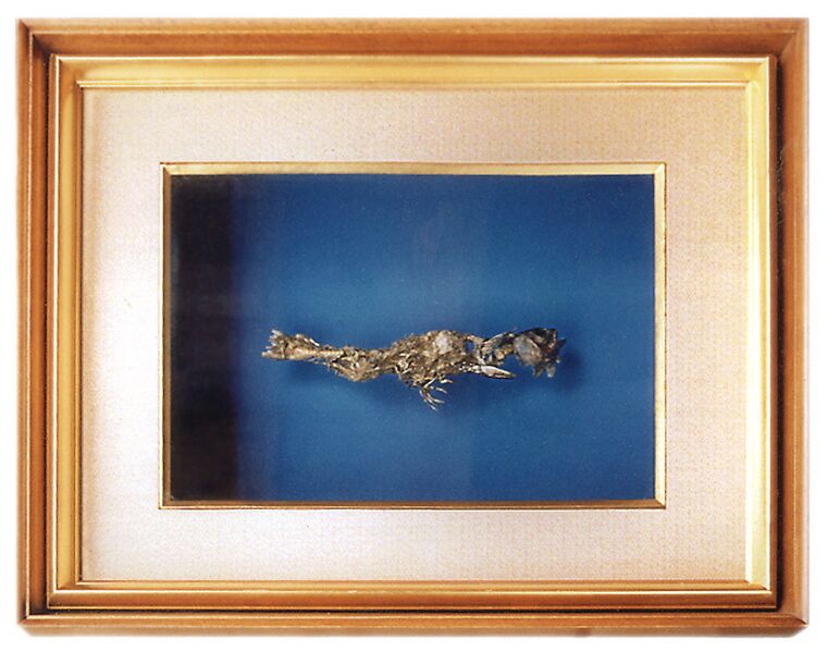 File:Fish with pincers in frame.jpg