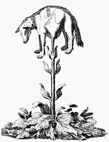 File:Vegetablelamb1887.jpg